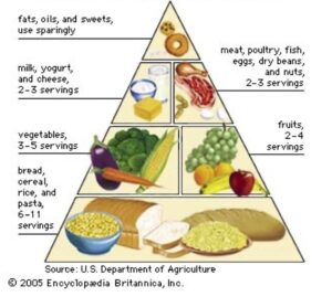 original usda food guide pyramid cropped