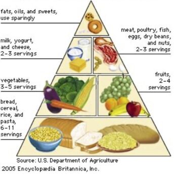 original usda food guide pyramid cropped